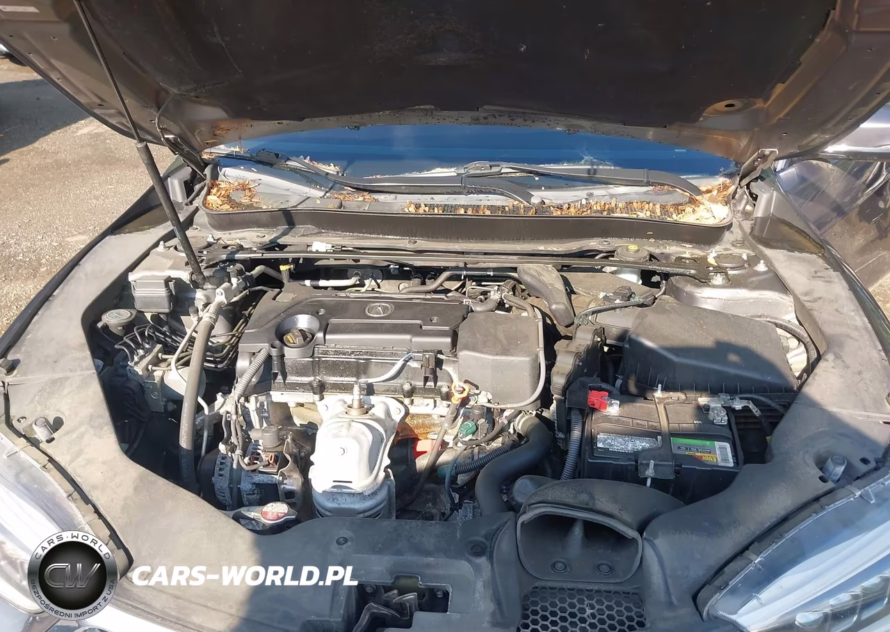 2019 Acura Tlx Standard VIN:19UUB1F36KA003437 - 10