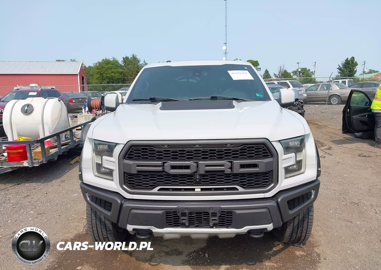 2017 Ford F-150 Raptor VIN:1FTFW1RG4HFB02442 - 12