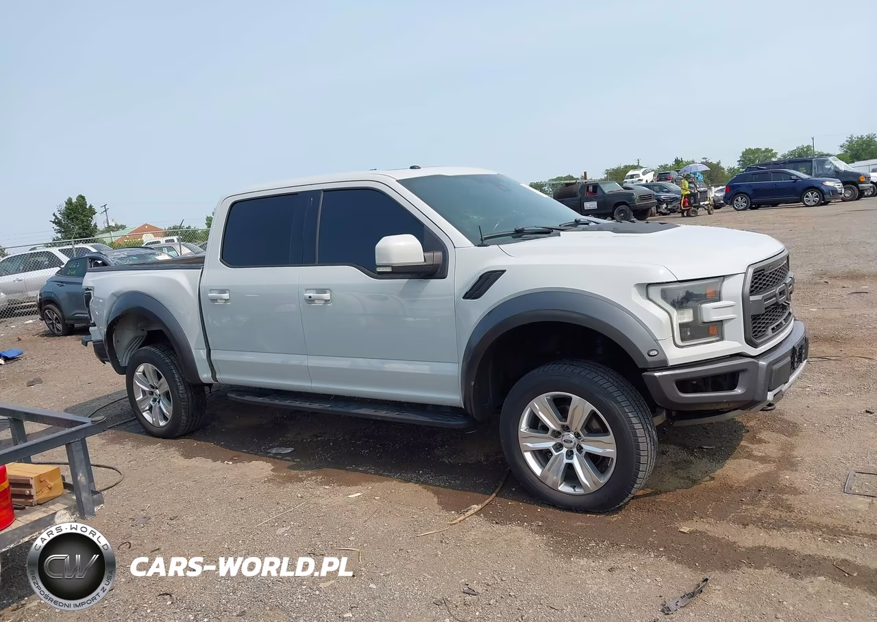2017 Ford F-150 Raptor VIN:1FTFW1RG4HFB02442 - 13