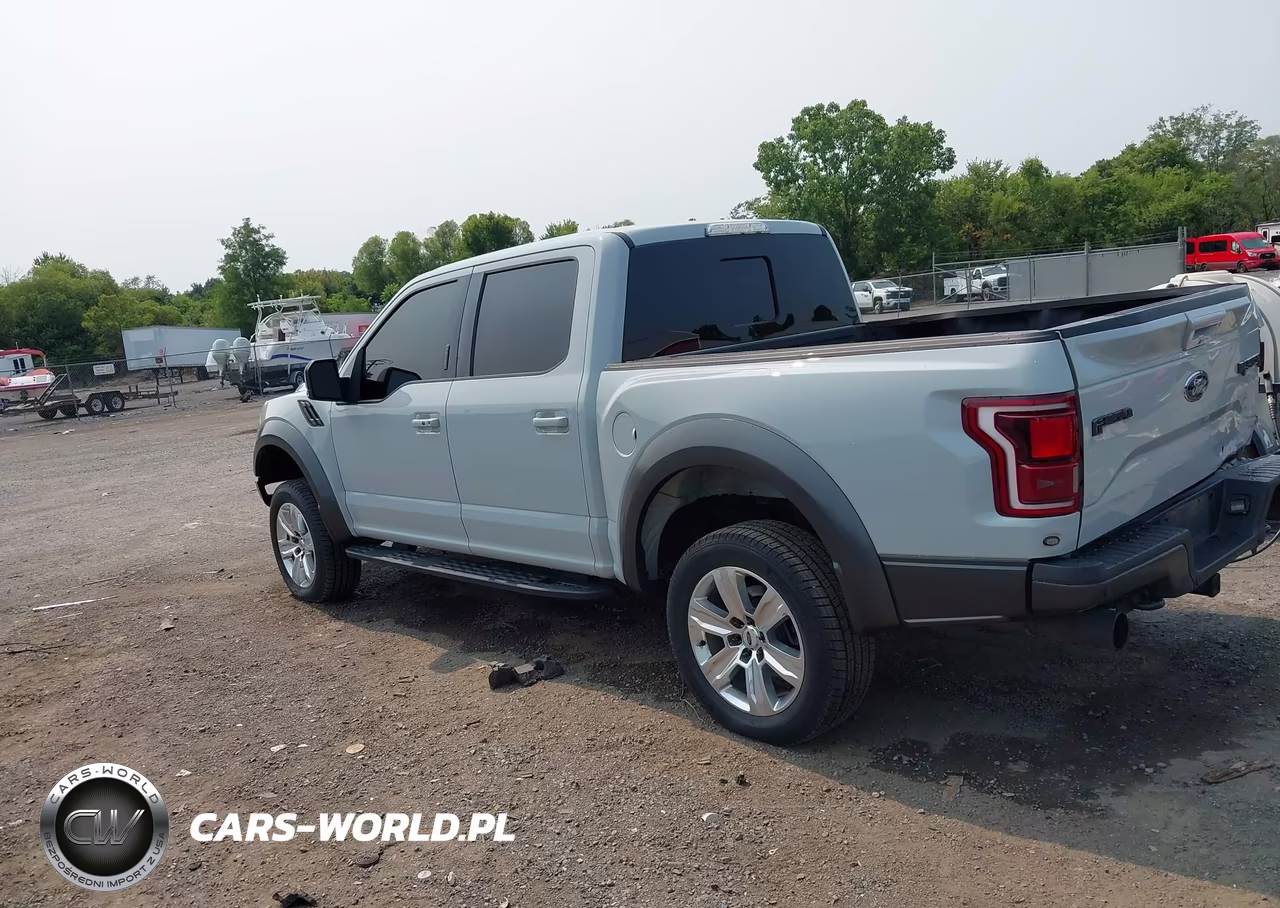 2017 Ford F-150 Raptor VIN:1FTFW1RG4HFB02442 - 14