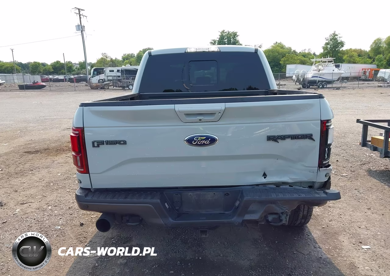 2017 Ford F-150 Raptor VIN:1FTFW1RG4HFB02442 - 16