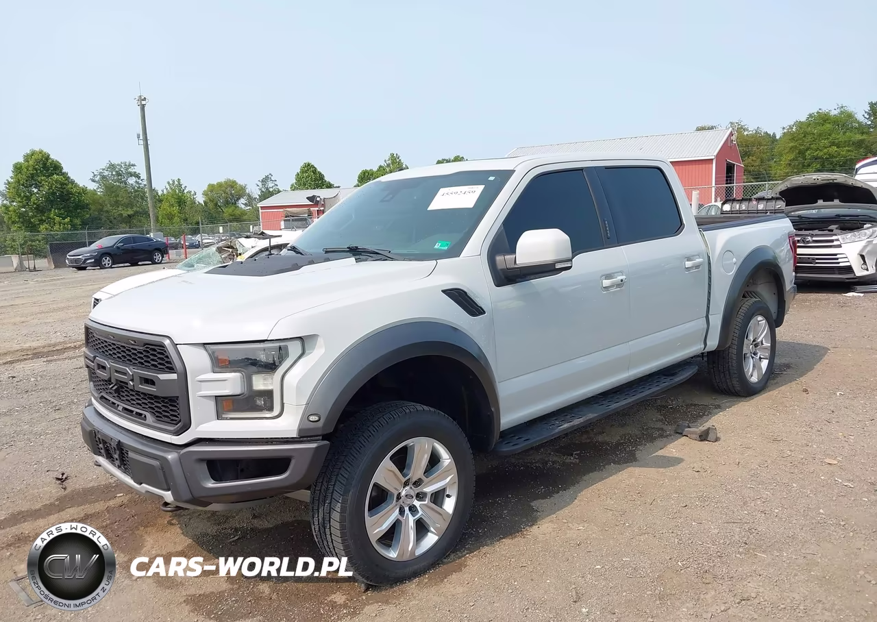2017 Ford F-150 Raptor VIN:1FTFW1RG4HFB02442 - 2