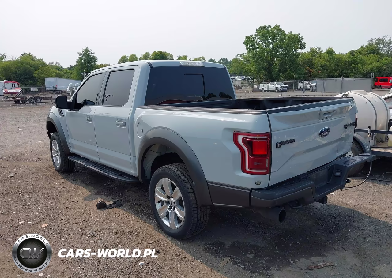 2017 Ford F-150 Raptor VIN:1FTFW1RG4HFB02442 - 3