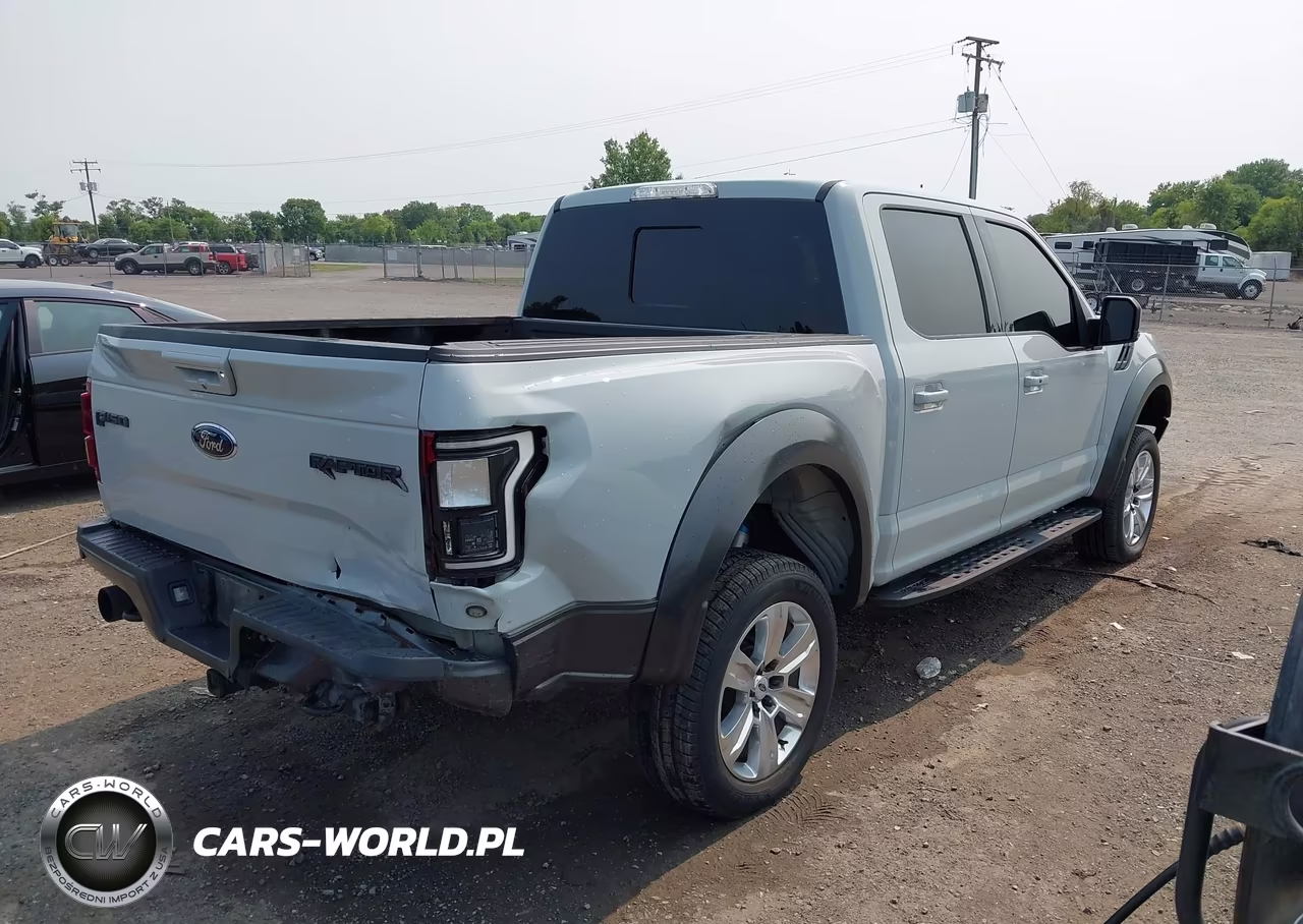 2017 Ford F-150 Raptor VIN:1FTFW1RG4HFB02442 - 4