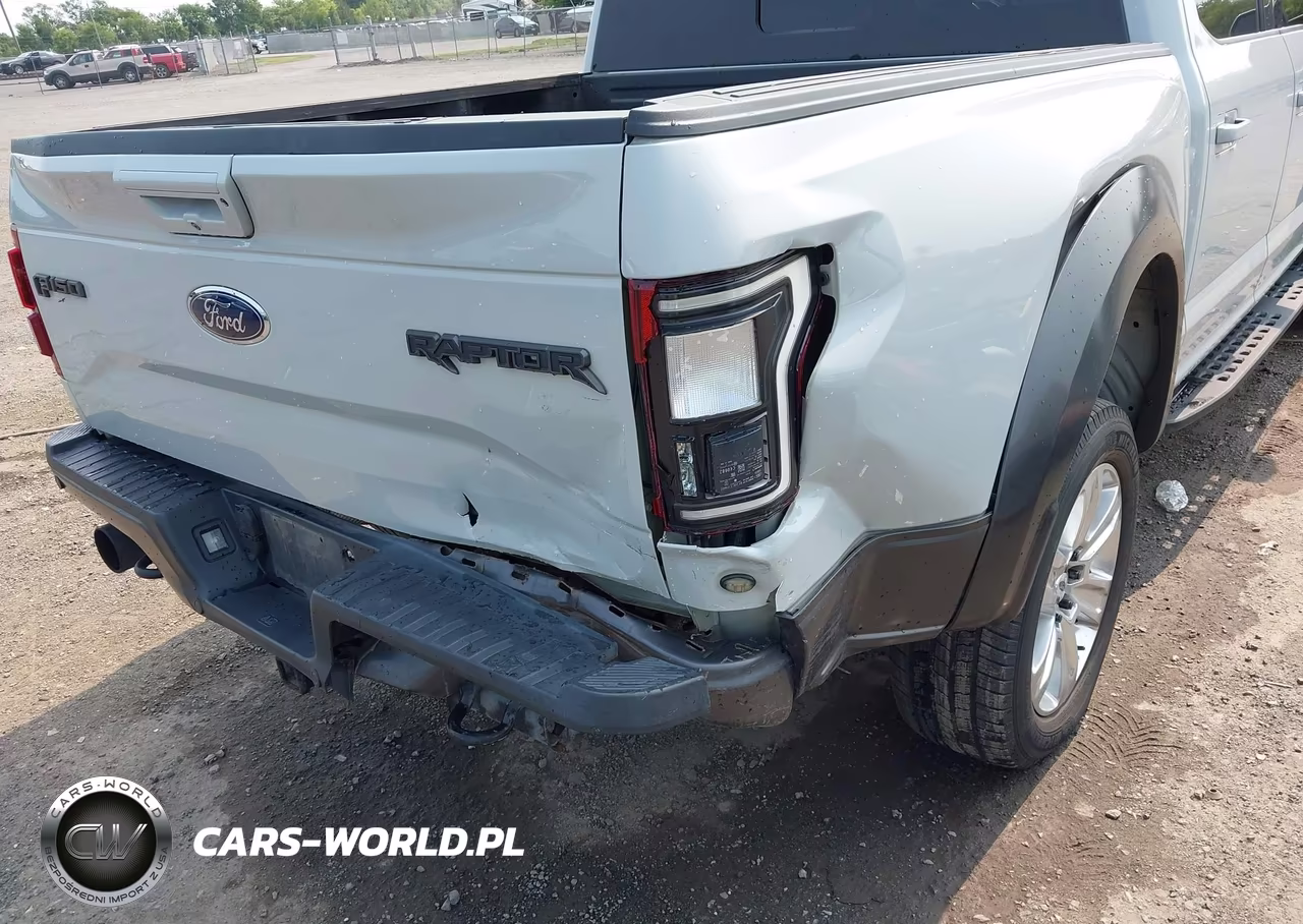2017 Ford F-150 Raptor VIN:1FTFW1RG4HFB02442 - 6