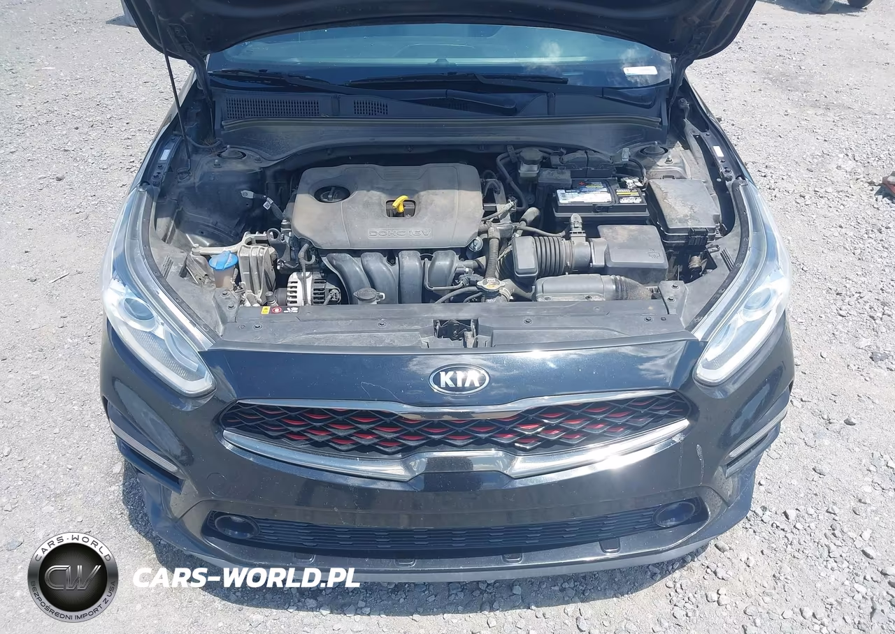 2020 Kia Forte Gt-Line VIN:3KPF34AD2LE197193 - 10