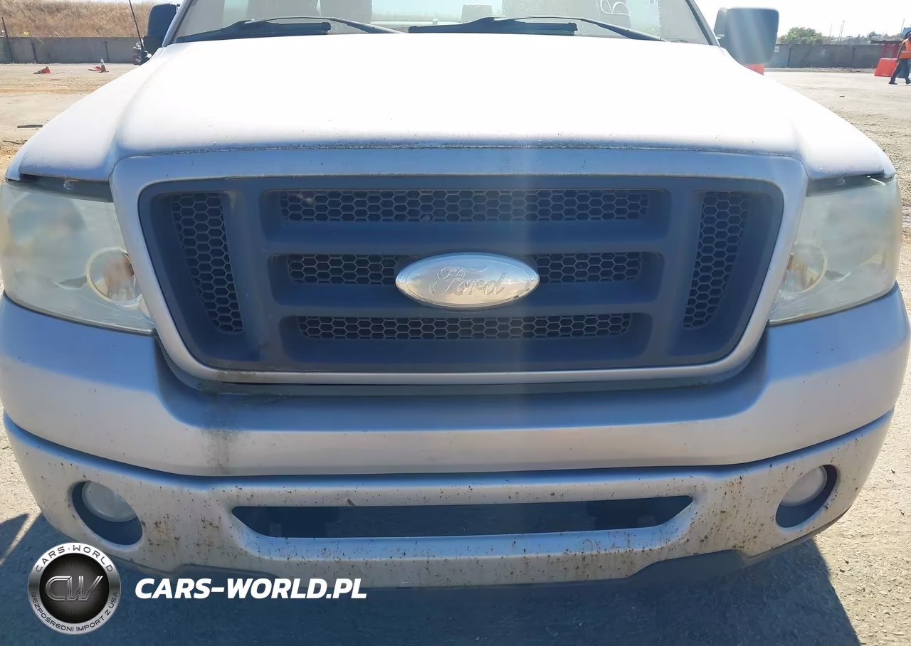 2008 Ford F-150 60Th Anniversary-Fx2-Stx-Xl-Xlt VIN:1FTRX12W68FB33901 - 6