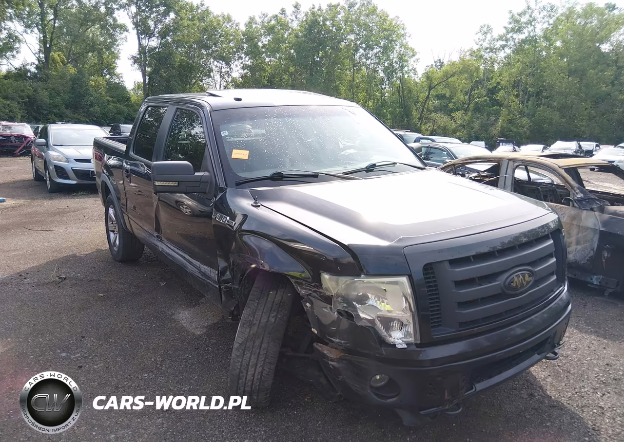 2010 Ford F-150 Fx4 – zdjęcie 1 z 16