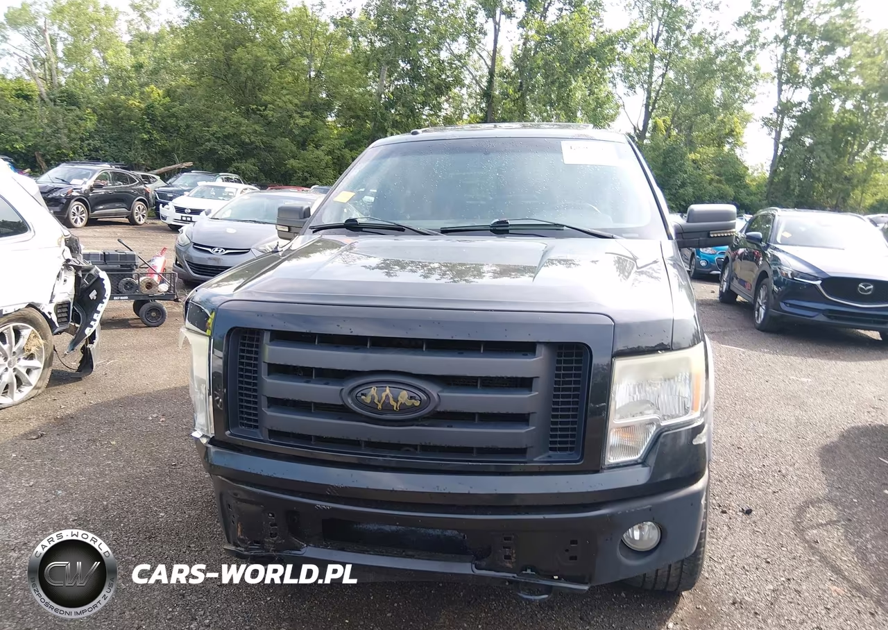 2010 Ford F-150 Fx4 VIN:1FTFW1EV3AFB85131 - 12