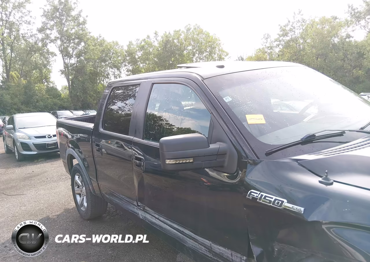 2010 Ford F-150 Fx4 VIN:1FTFW1EV3AFB85131 - 13