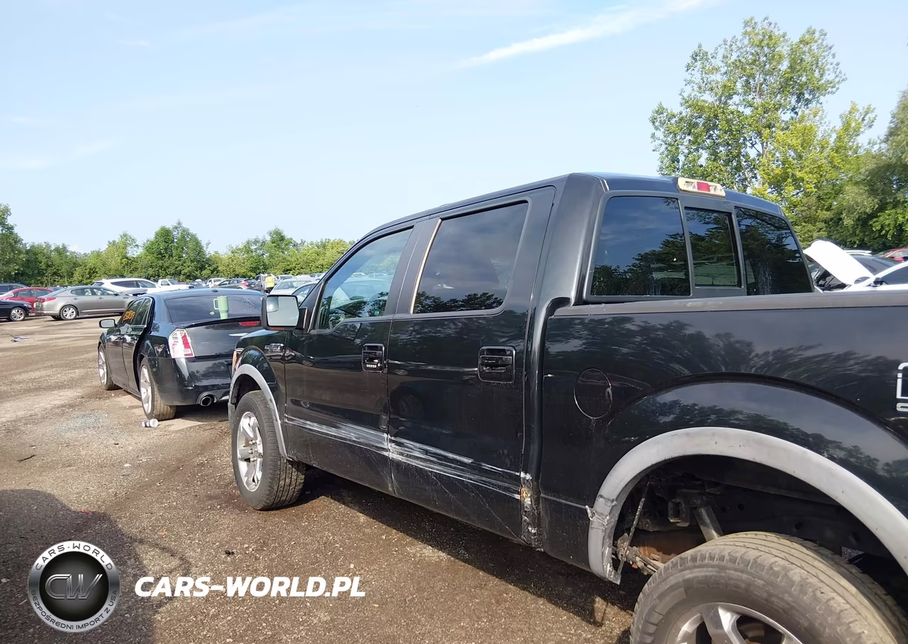 2010 Ford F-150 Fx4 VIN:1FTFW1EV3AFB85131 - 14