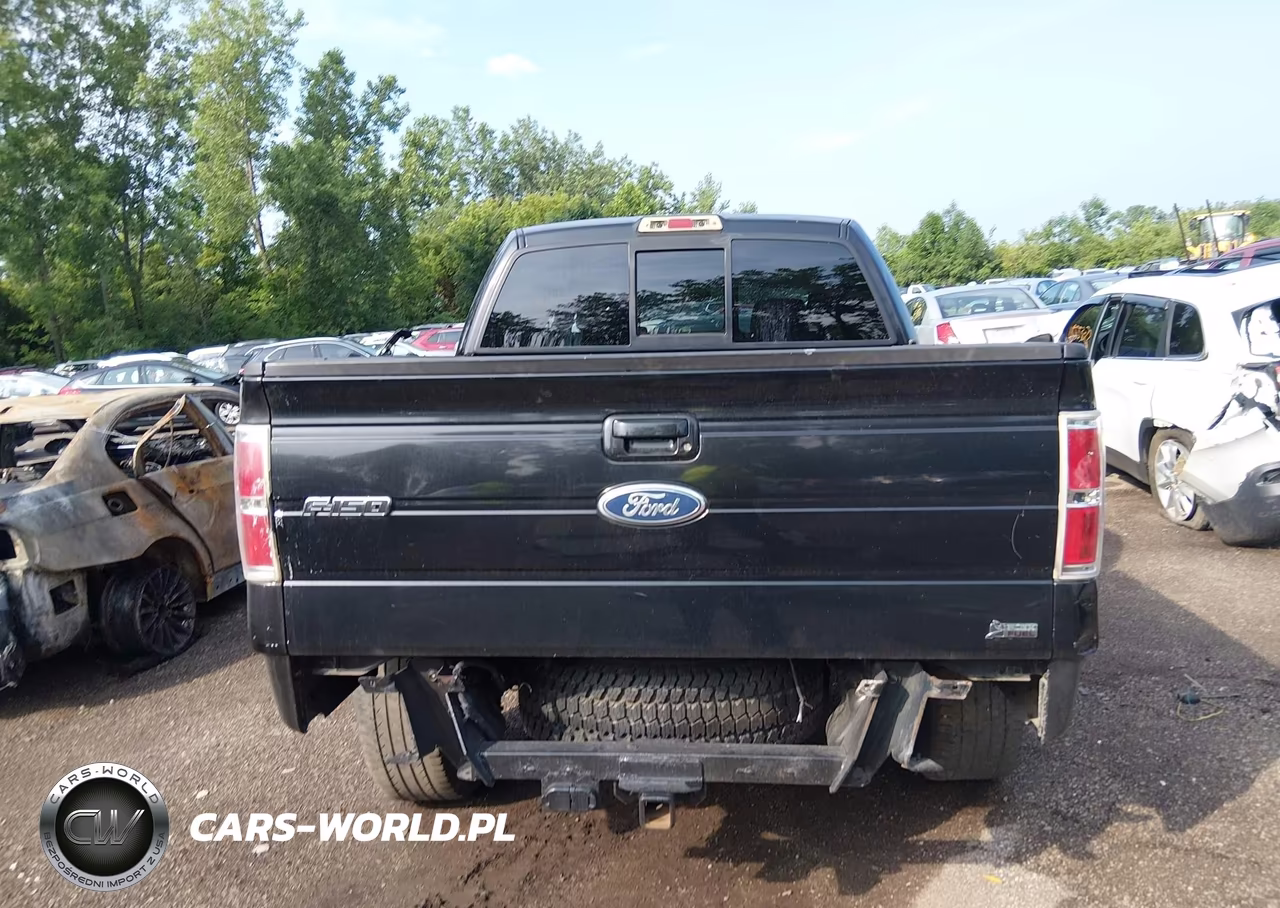 2010 Ford F-150 Fx4 VIN:1FTFW1EV3AFB85131 - 16