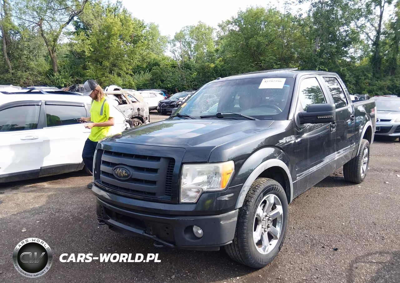 2010 Ford F-150 Fx4 VIN:1FTFW1EV3AFB85131 - 2