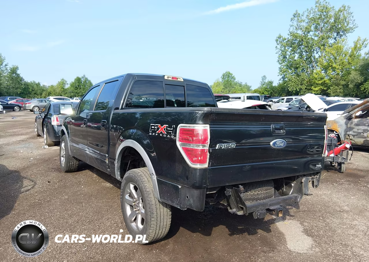 2010 Ford F-150 Fx4 VIN:1FTFW1EV3AFB85131 - 3