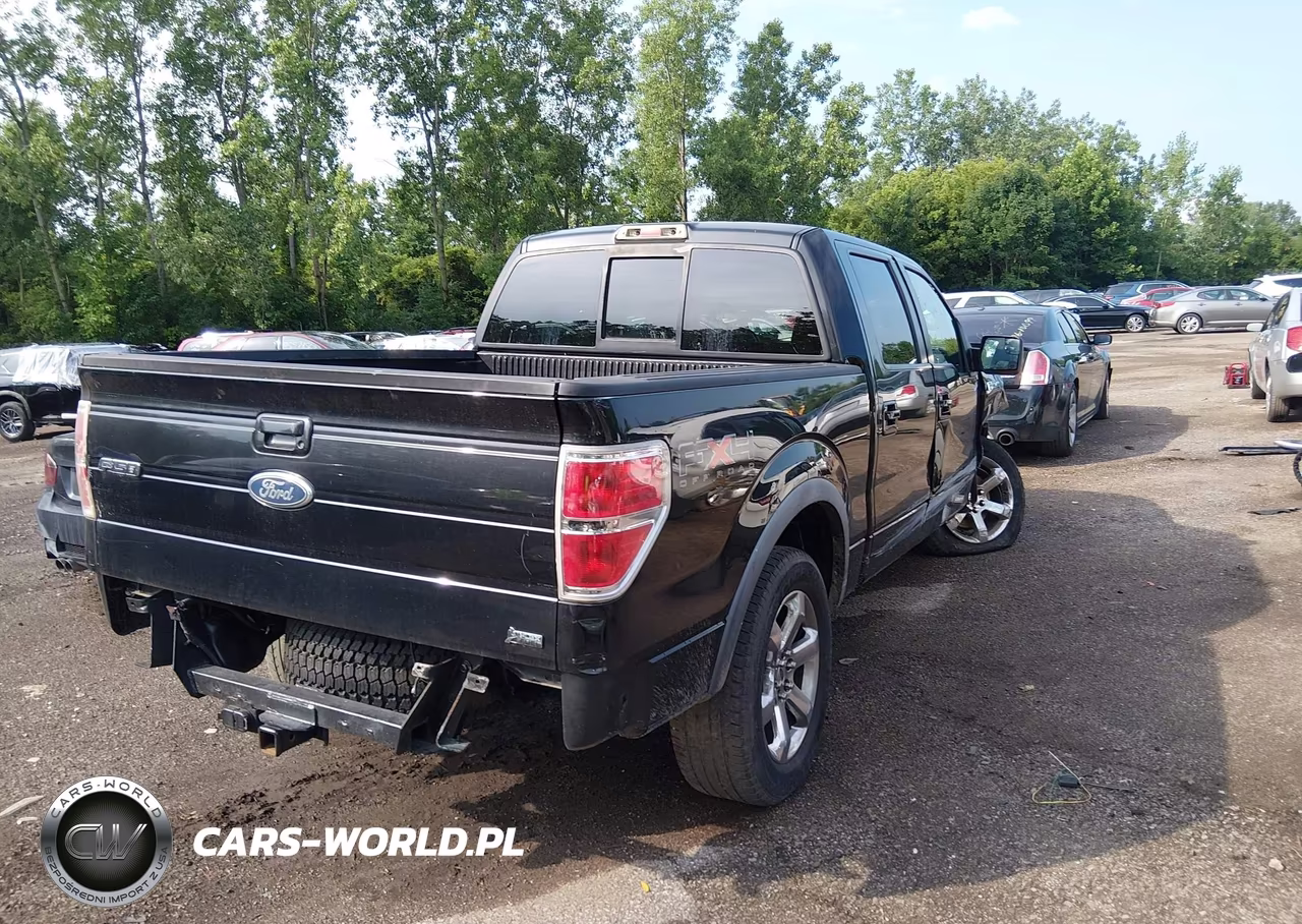 2010 Ford F-150 Fx4 VIN:1FTFW1EV3AFB85131 - 4