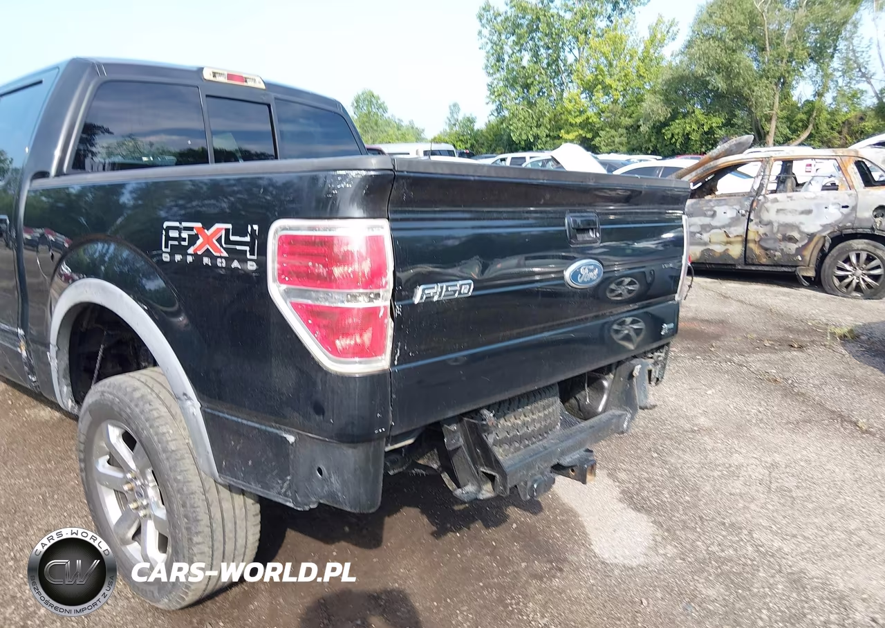 2010 Ford F-150 Fx4 VIN:1FTFW1EV3AFB85131 - 6