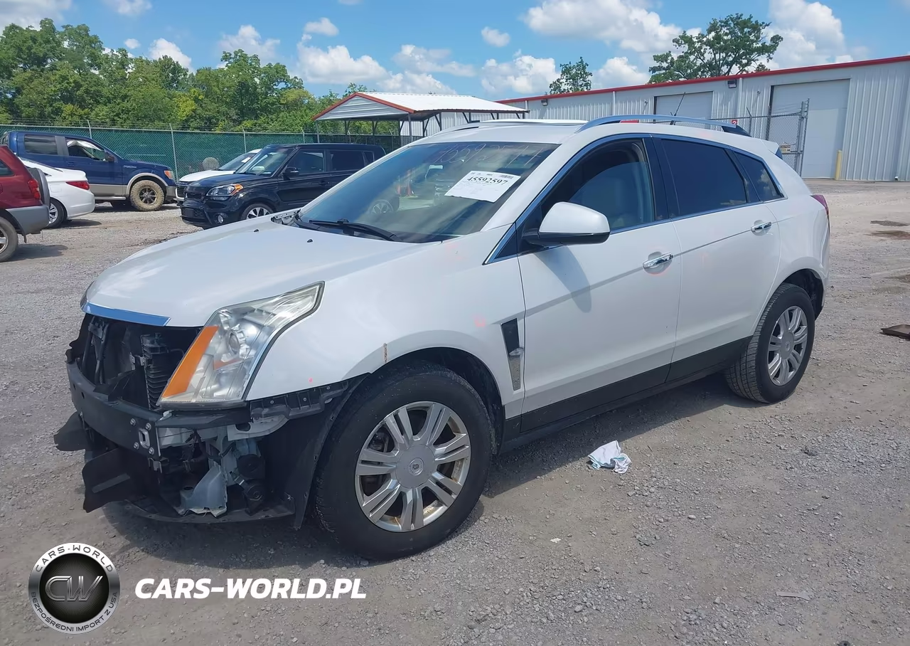 2011 Cadillac Srx Luxury Collection VIN:3GYFNAEY6BS555279 - 2