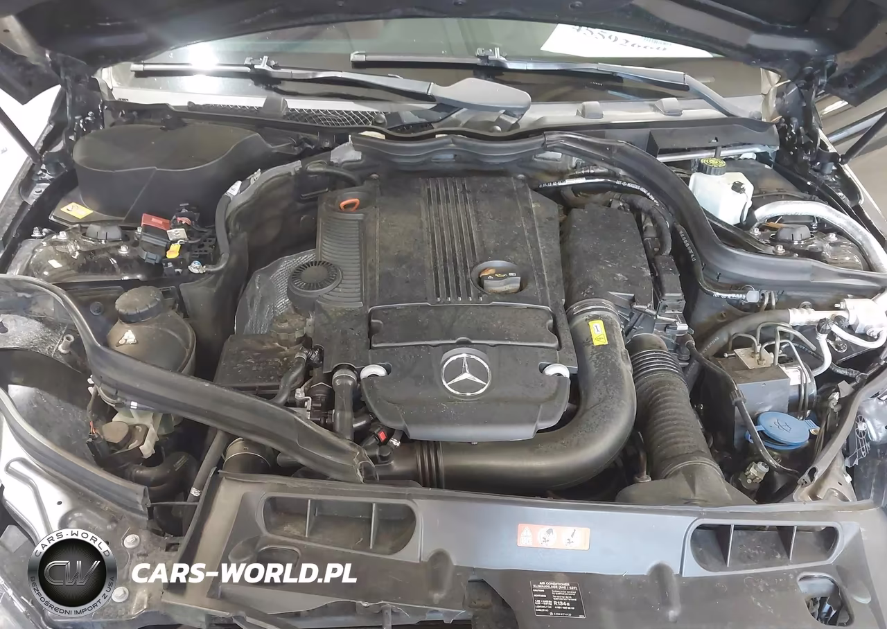 2013 Mercedes-Benz C 250 VIN:WDDGJ4HB0DF992139 - 10