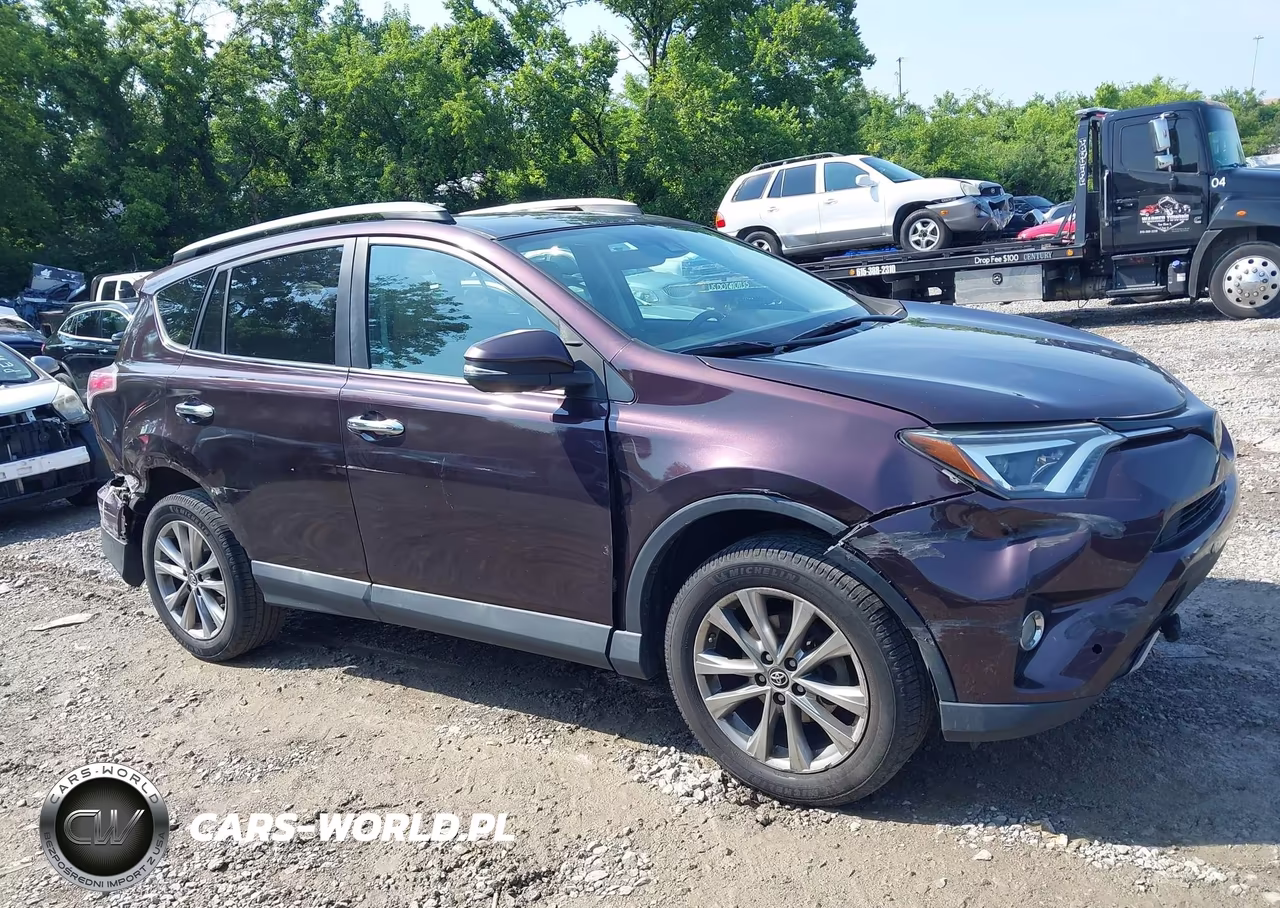 2017 Toyota Rav4 Limited VIN:2T3YFREV8HW331006 - 13