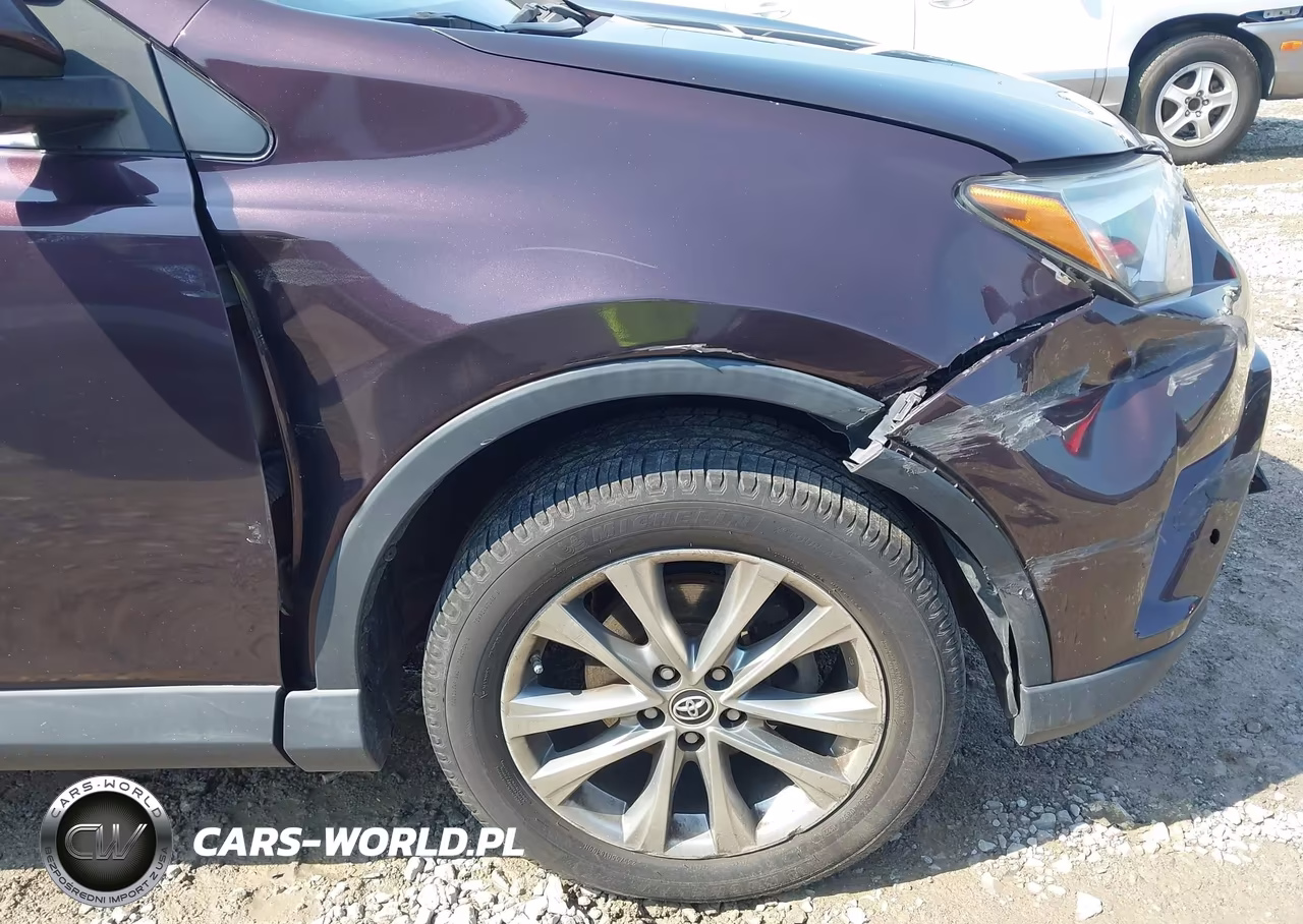 2017 Toyota Rav4 Limited VIN:2T3YFREV8HW331006 - 17