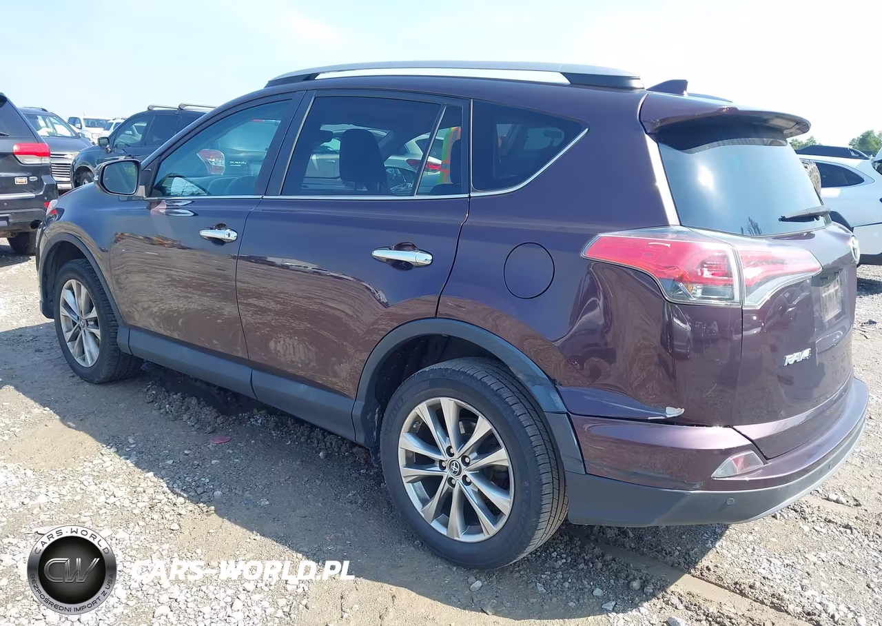 2017 Toyota Rav4 Limited VIN:2T3YFREV8HW331006 - 3