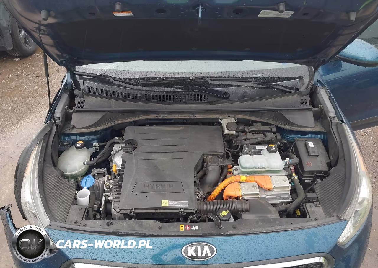 2019 Kia Niro Lx VIN:KNDCB3LC2K5346006 - 10