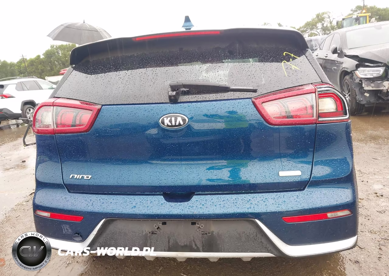 2019 Kia Niro Lx VIN:KNDCB3LC2K5346006 - 16