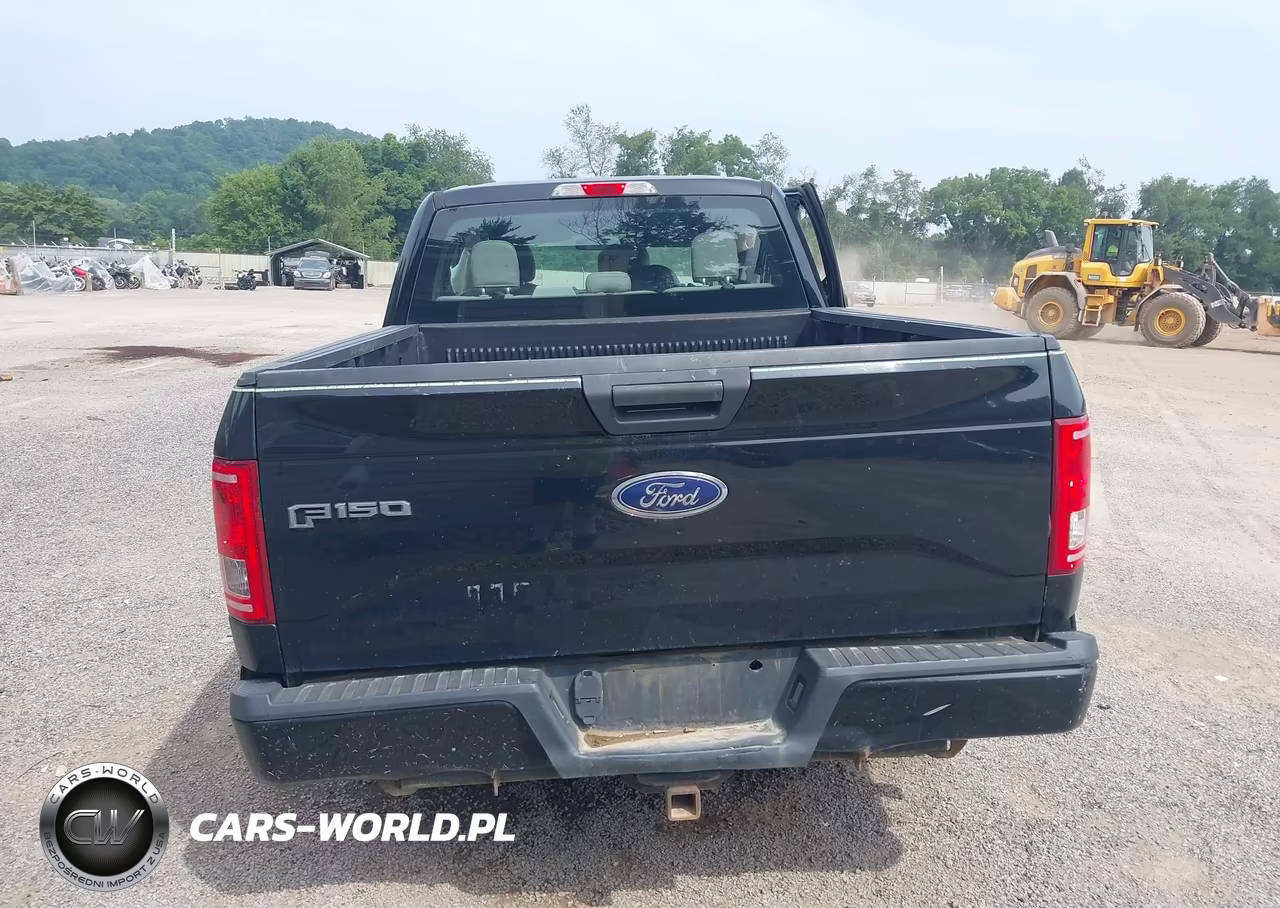 2016 Ford F-150 Xl VIN:1FTEX1EP1GFA36364 - 17