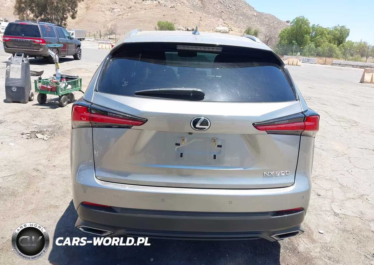 2021 Lexus Nx 300 VIN:JTJGARBZ8M2188317 - 16