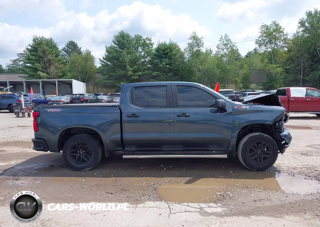 2019 Chevrolet Silverado 1500 Lt Trail Boss VIN:3GCPYFED6KG234261 - 12