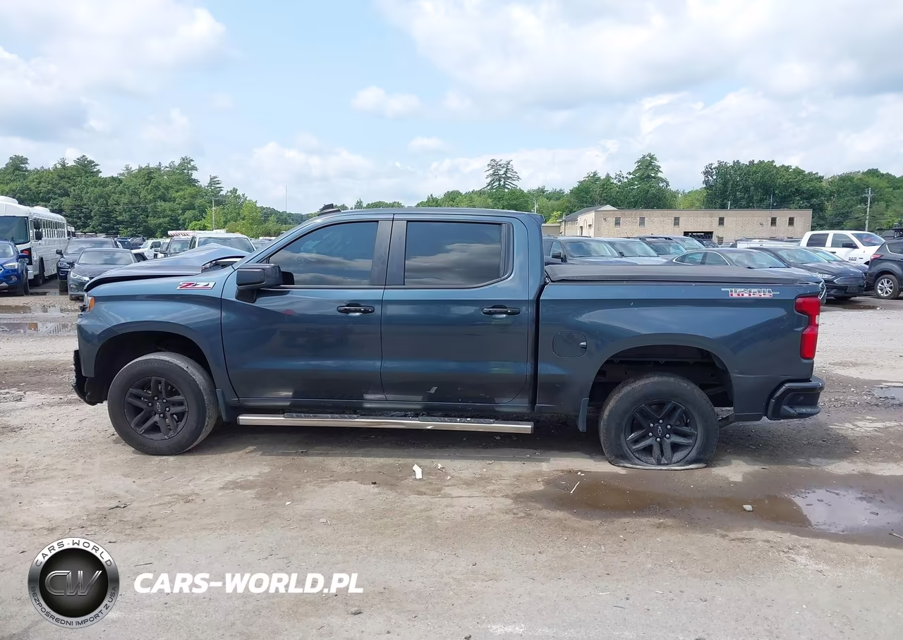 2019 Chevrolet Silverado 1500 Lt Trail Boss VIN:3GCPYFED6KG234261 - 13