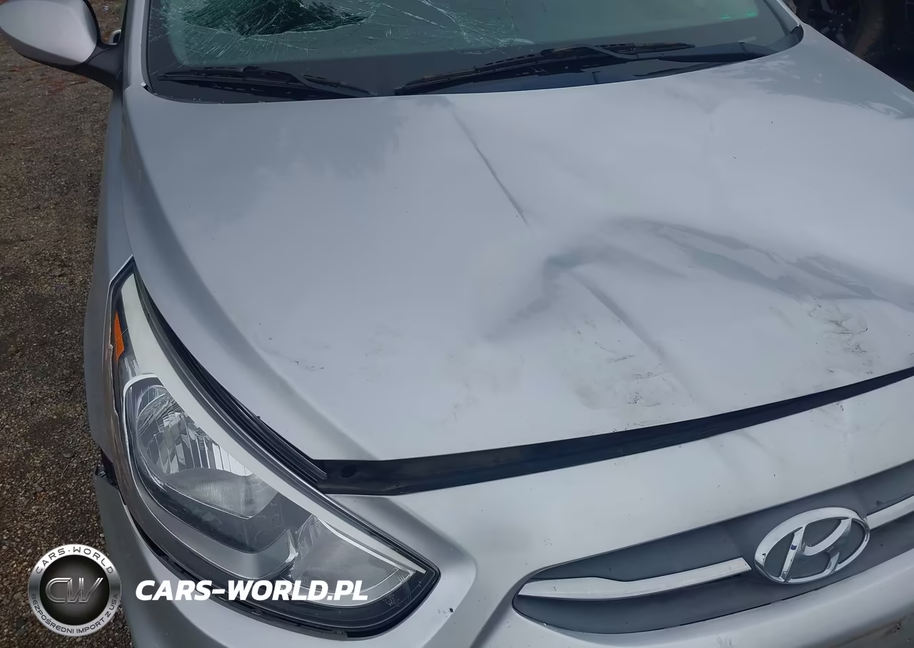 2017 Hyundai Accent Se VIN:KMHCT5AE2HU335594 - 13