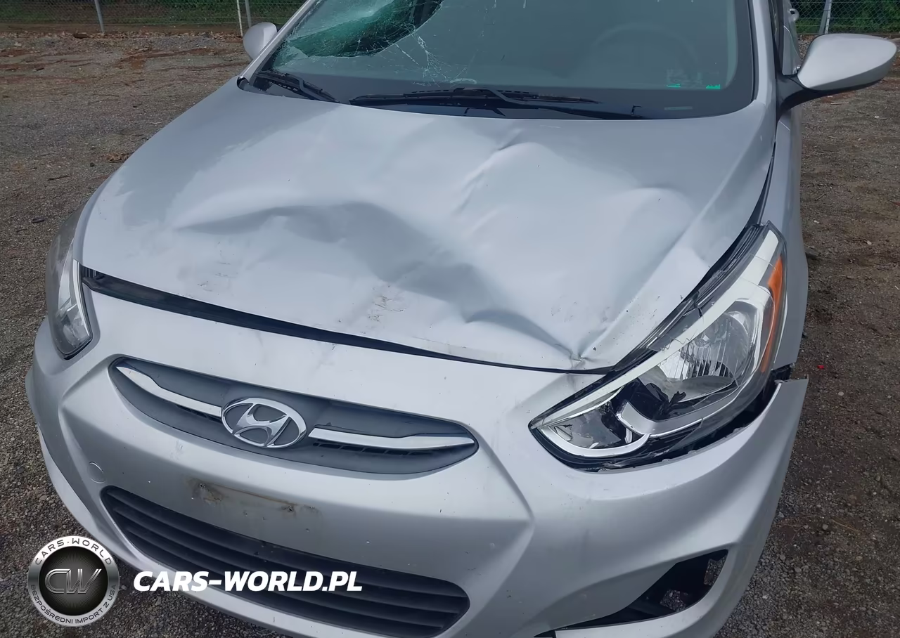 2017 Hyundai Accent Se VIN:KMHCT5AE2HU335594 - 6
