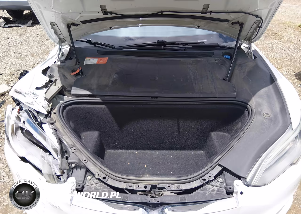 2016 Tesla Model S 60-70-75-85 VIN:5YJSA1E14GF158964 - 10