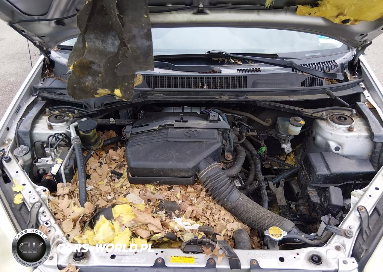 2005 Toyota Rav4 VIN:JTEHD20V550074354 - 10