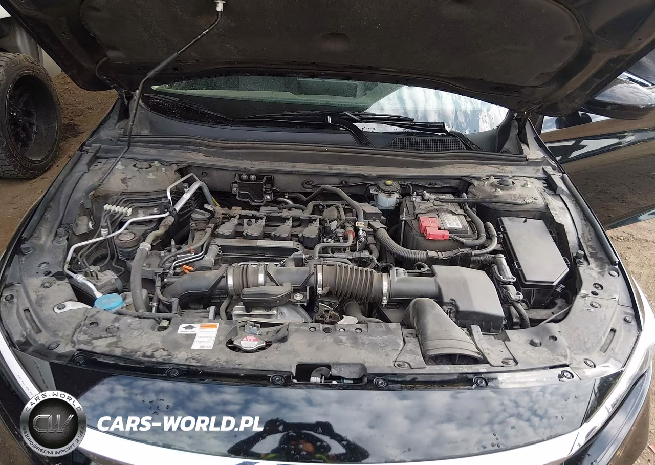 2019 Honda Accord Lx VIN:1HGCV1F11KA087572 - 10