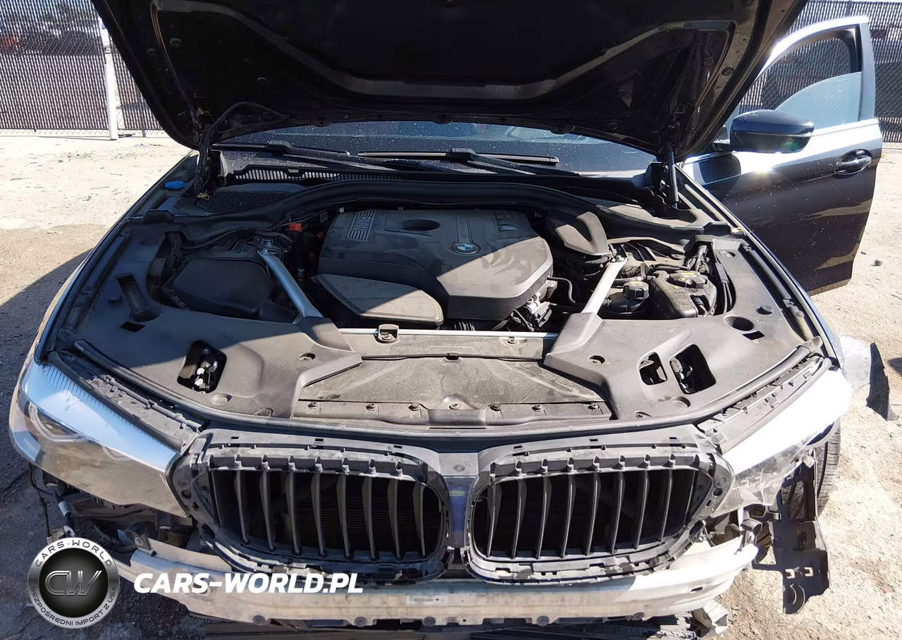 2019 BMW 5 Series 530I xDrive VIN:WBAJA7C51KWW02145 - 10