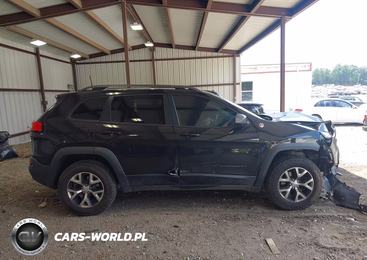 2016 Jeep Cherokee Trailhawk VIN:1C4PJMBS3GW163721 - 13