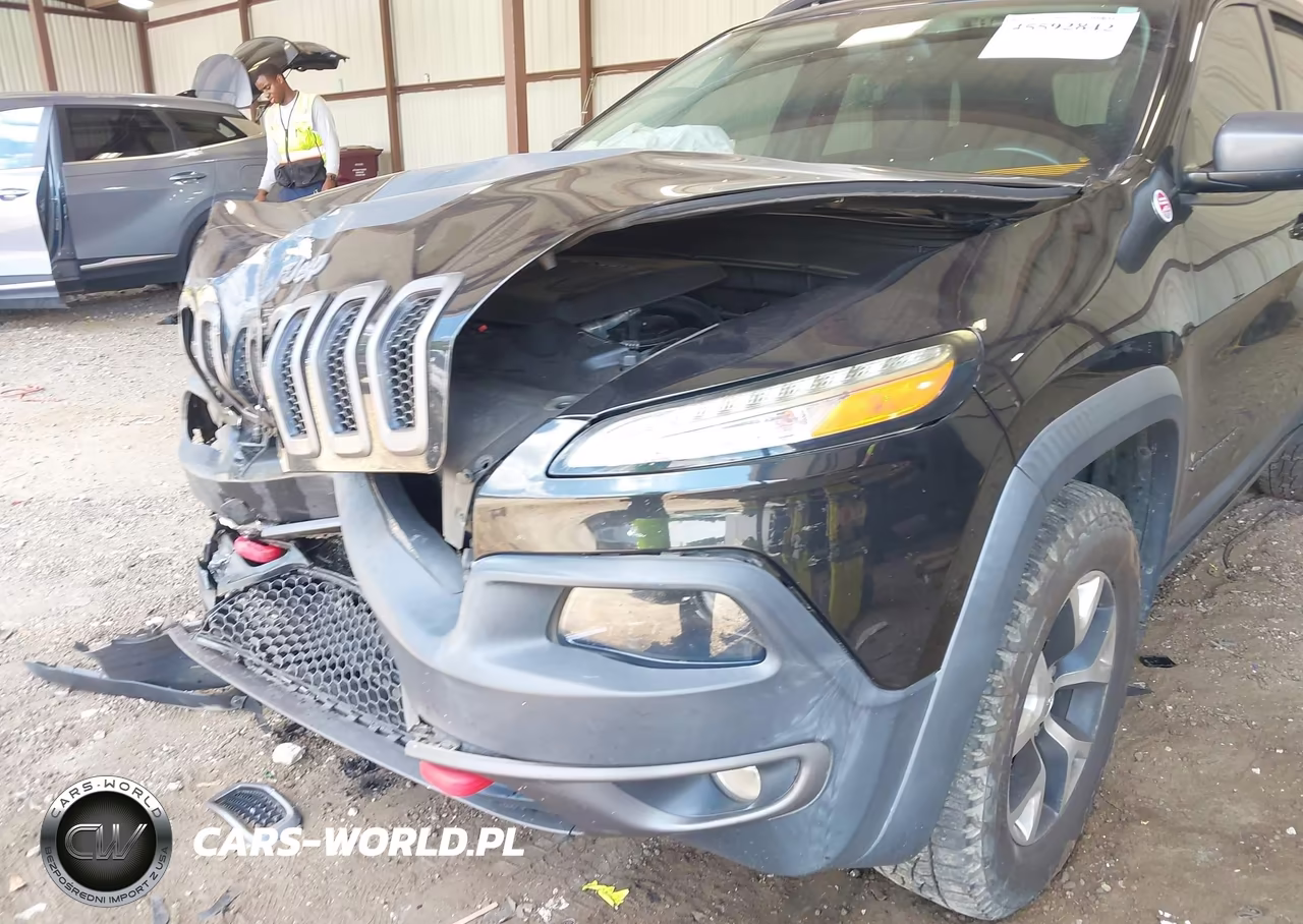 2016 Jeep Cherokee Trailhawk VIN:1C4PJMBS3GW163721 - 6