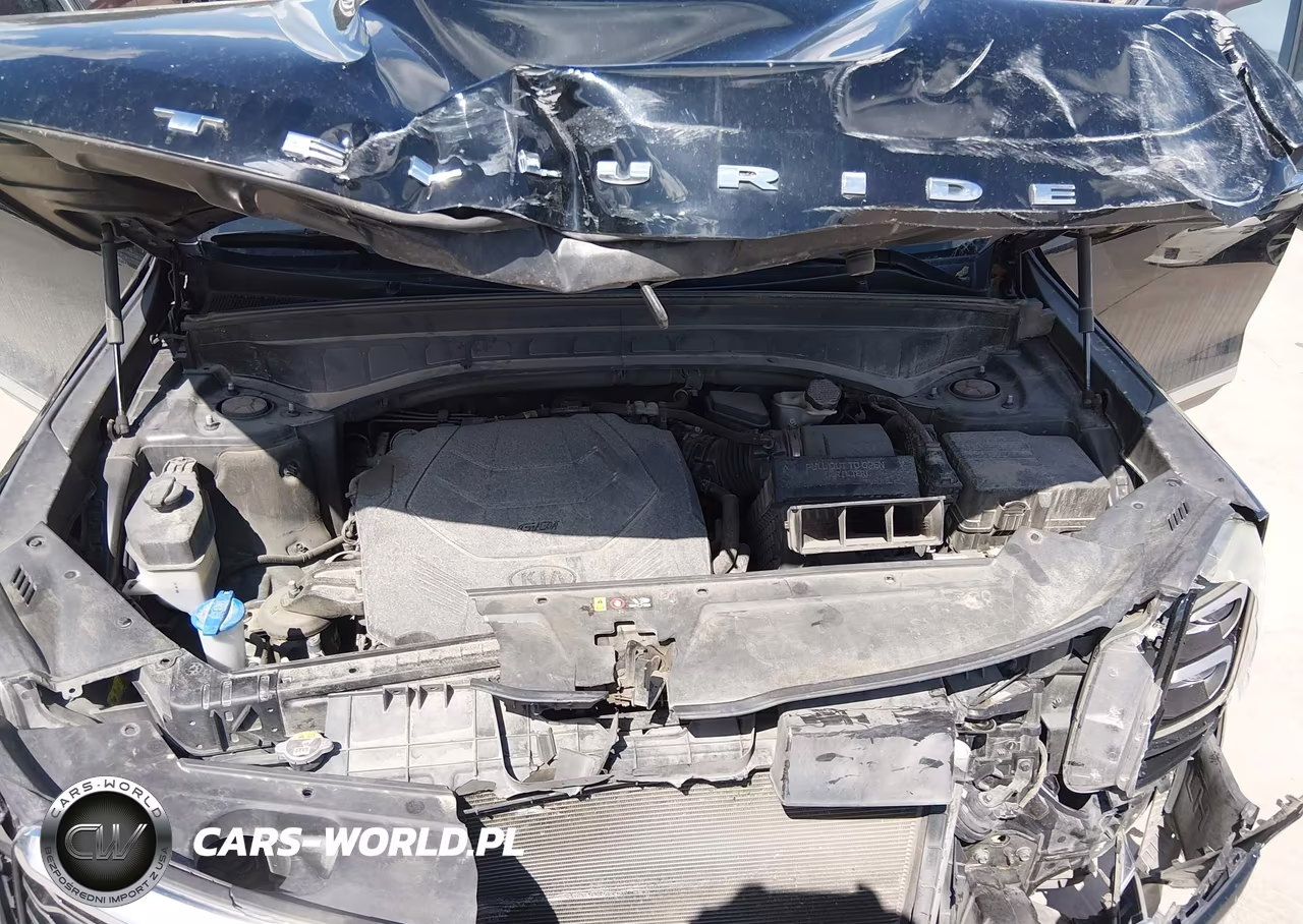 2020 Kia Telluride Sx VIN:5XYP54HC6LG026638 - 10