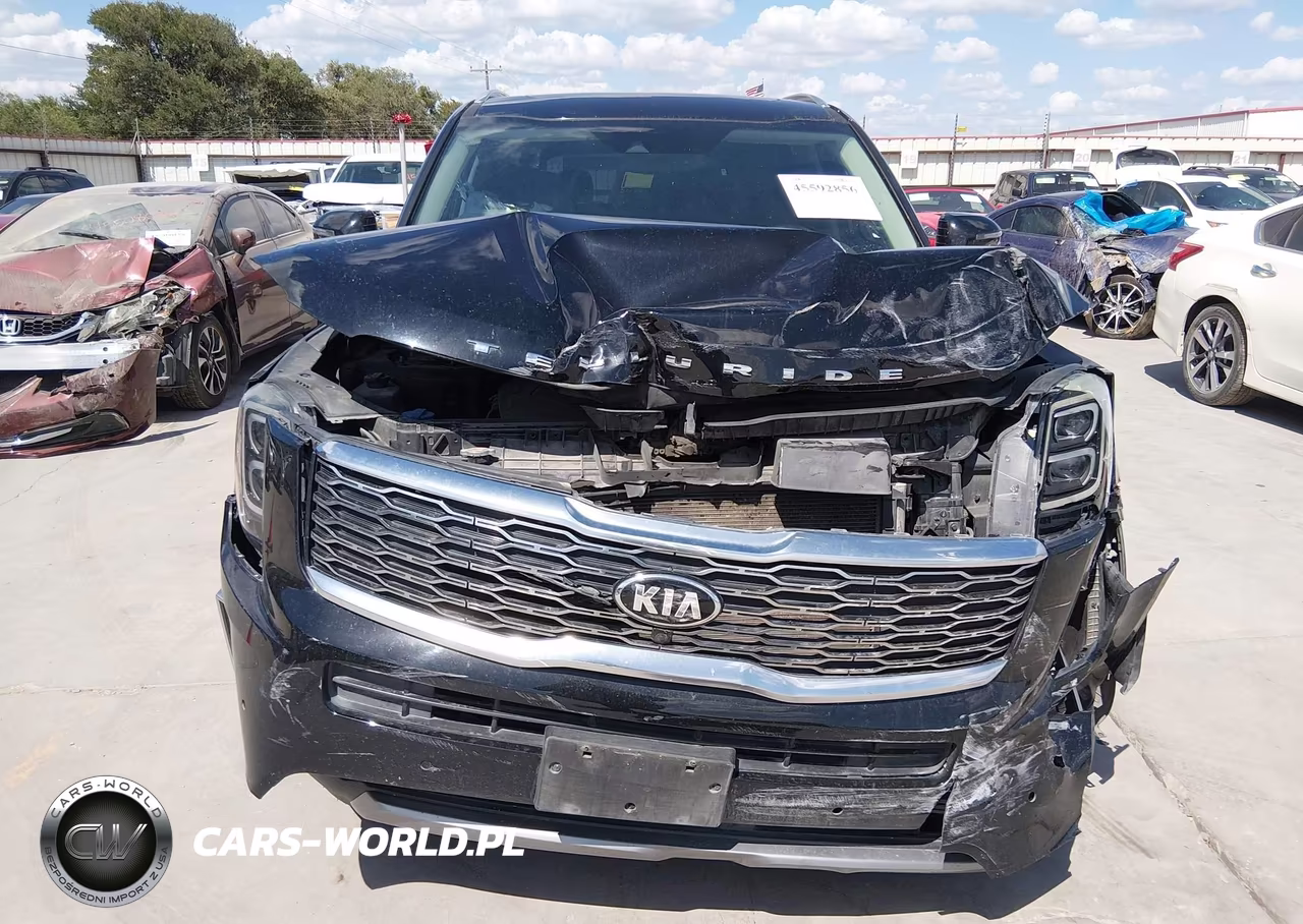 2020 Kia Telluride Sx VIN:5XYP54HC6LG026638 - 12