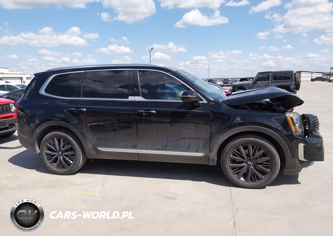 2020 Kia Telluride Sx VIN:5XYP54HC6LG026638 - 13