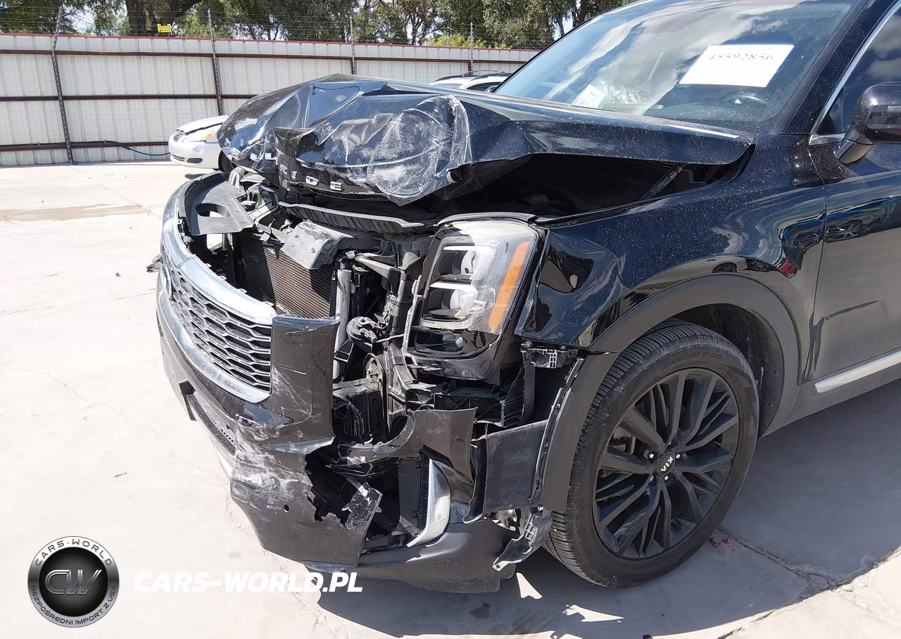 2020 Kia Telluride Sx VIN:5XYP54HC6LG026638 - 17