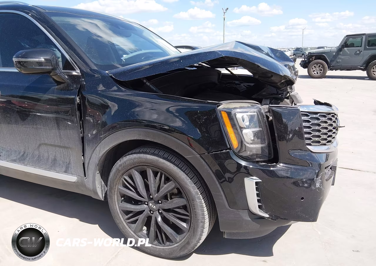 2020 Kia Telluride Sx VIN:5XYP54HC6LG026638 - 18