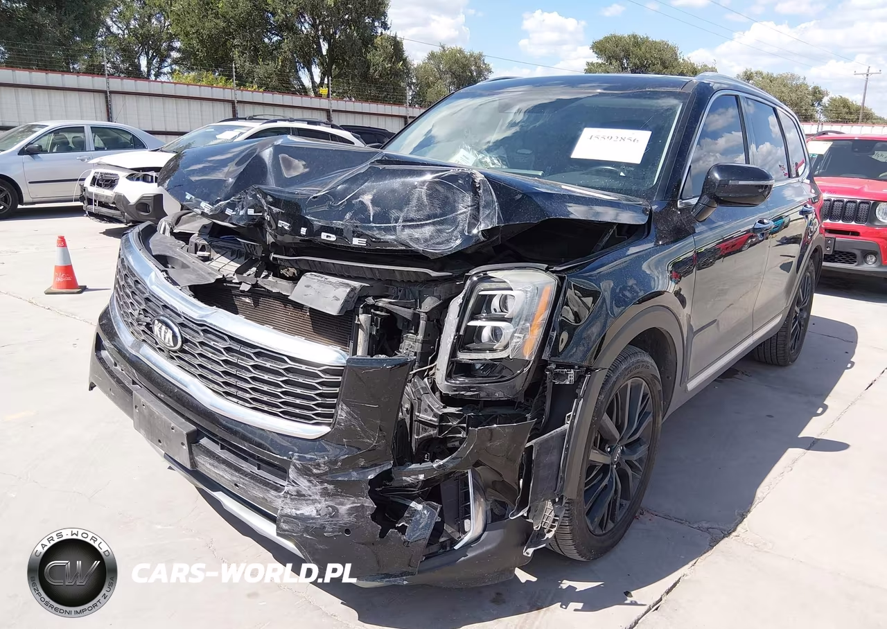 2020 Kia Telluride Sx VIN:5XYP54HC6LG026638 - 2