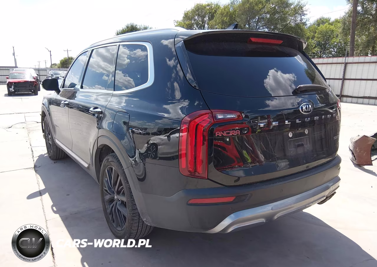 2020 Kia Telluride Sx VIN:5XYP54HC6LG026638 - 3