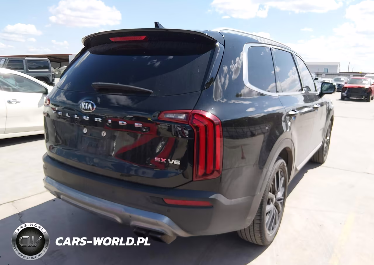 2020 Kia Telluride Sx VIN:5XYP54HC6LG026638 - 4