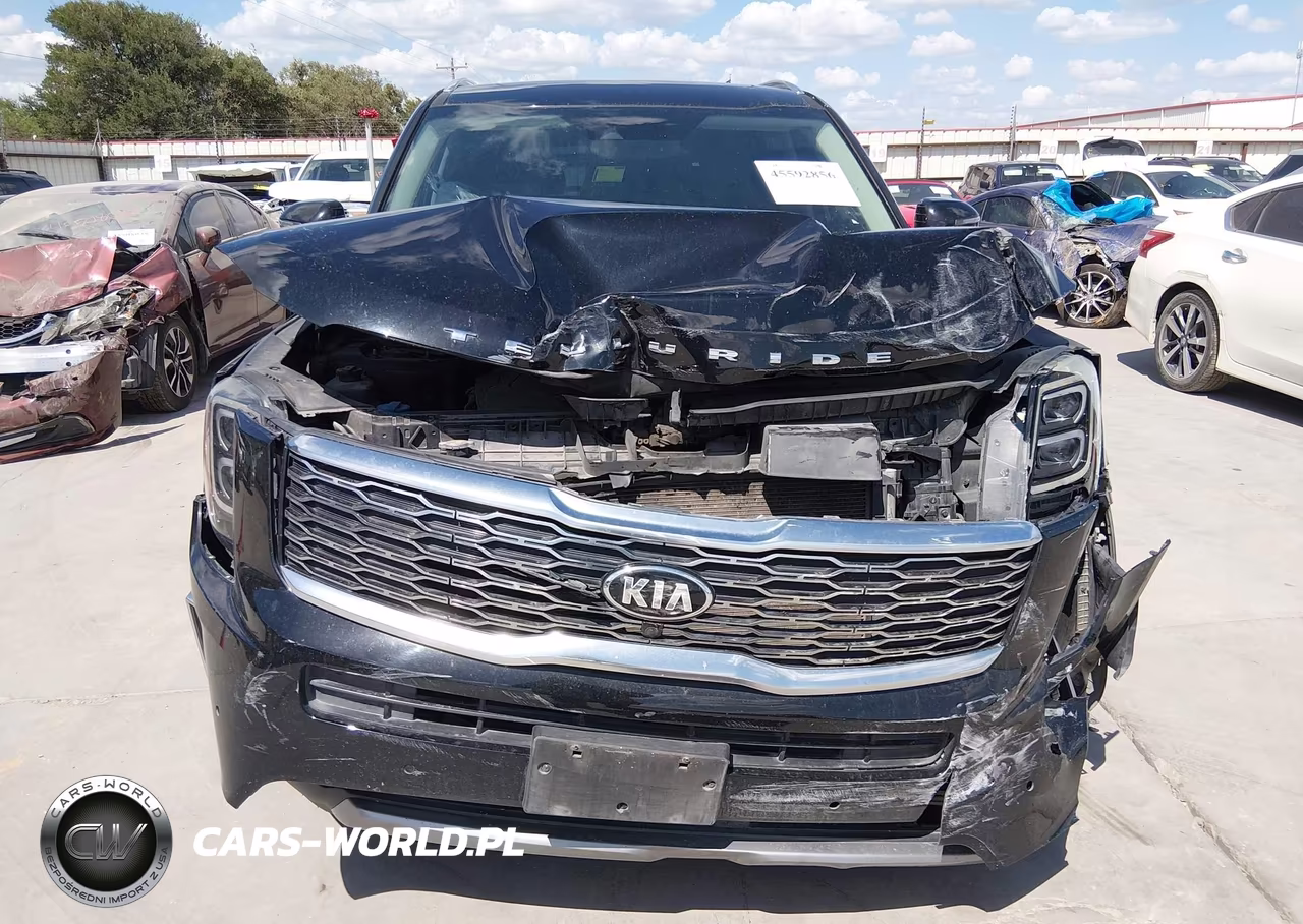 2020 Kia Telluride Sx VIN:5XYP54HC6LG026638 - 6