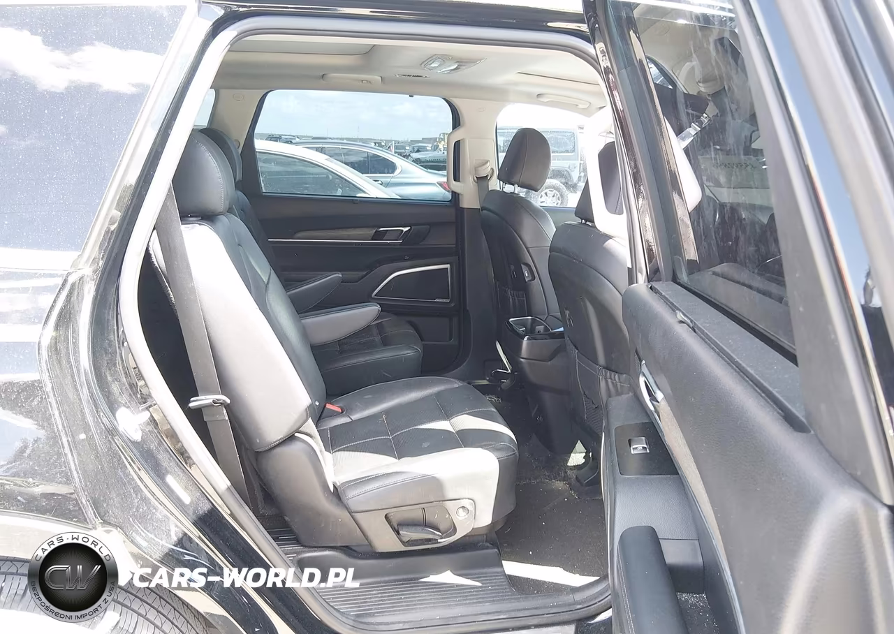 2020 Kia Telluride Sx VIN:5XYP54HC6LG026638 - 8