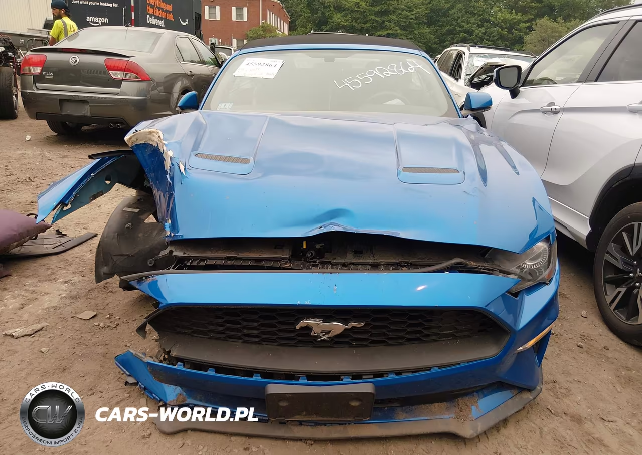2019 Ford Mustang Ecoboost Premium VIN:1FATP8UH9K5115599 - 12